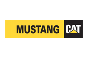 Mustang Cat - Houston Website Design and Development | W3trends, Inc.